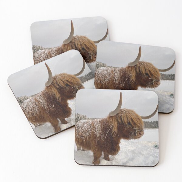 Item preview, Scottish Highland Cattle Cow 3102 designed and sold by SaarelaHighland.