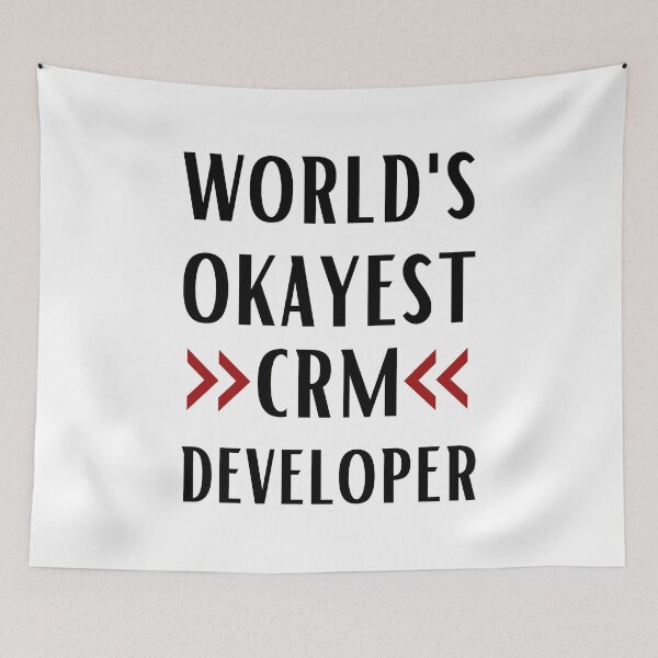 Item preview, World's Okayest CRM Developer designed and sold by Valuential.