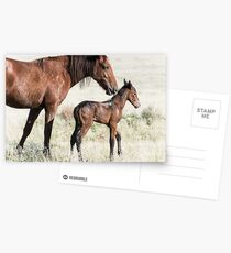 A Mother's Love Postcards