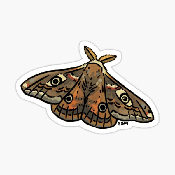 Item preview, Pen and Paper Moth Watercolor designed and sold by cam-chowder.