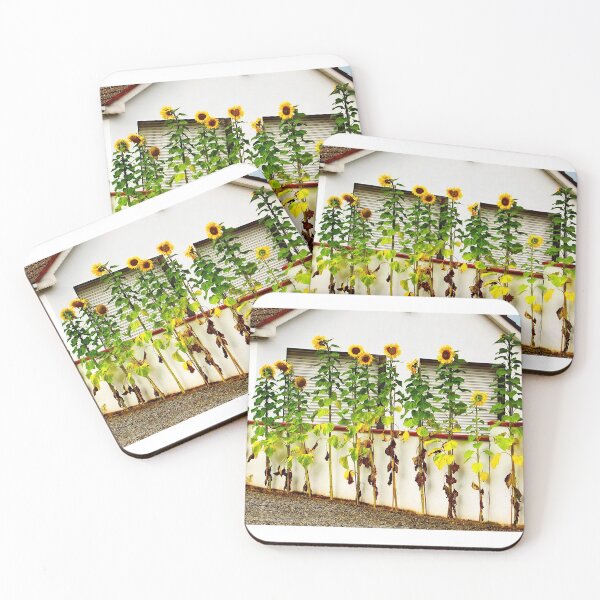 Item preview, Sunflowers - 2 designed and sold by John Weeks.