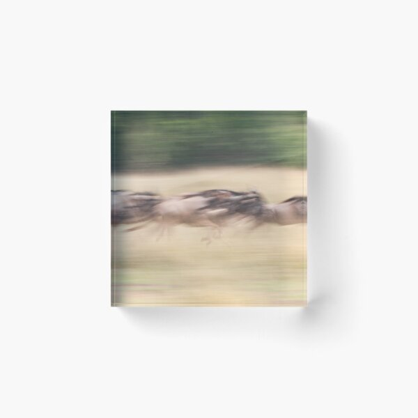 Item preview, Wildebeest fleeing during the great migration designed and sold by Ingo Gerlach.
