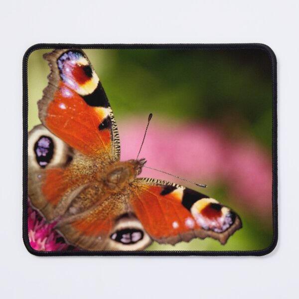 Item preview, Peacock butterfly designed and sold by cglightNingART.