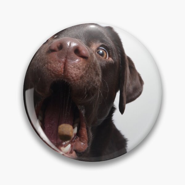 Item preview, Snap Photo Labrador designed and sold by JeanettesPets.
