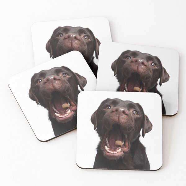 Item preview, Snap Photo Labrador designed and sold by JeanettesPets.
