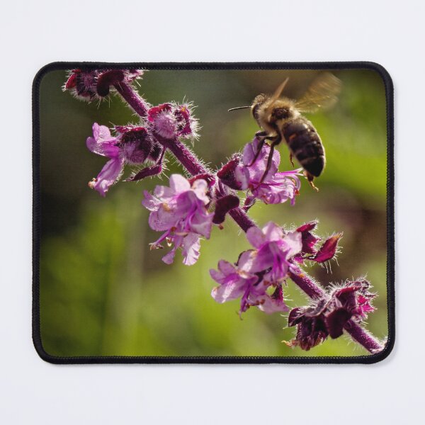 Item preview, Wild bee collects pollen designed and sold by cglightNingART.