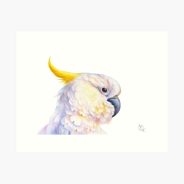 Item preview, "Sulphur-crested Cockatoo" designed and sold by Elena Kolotusha.