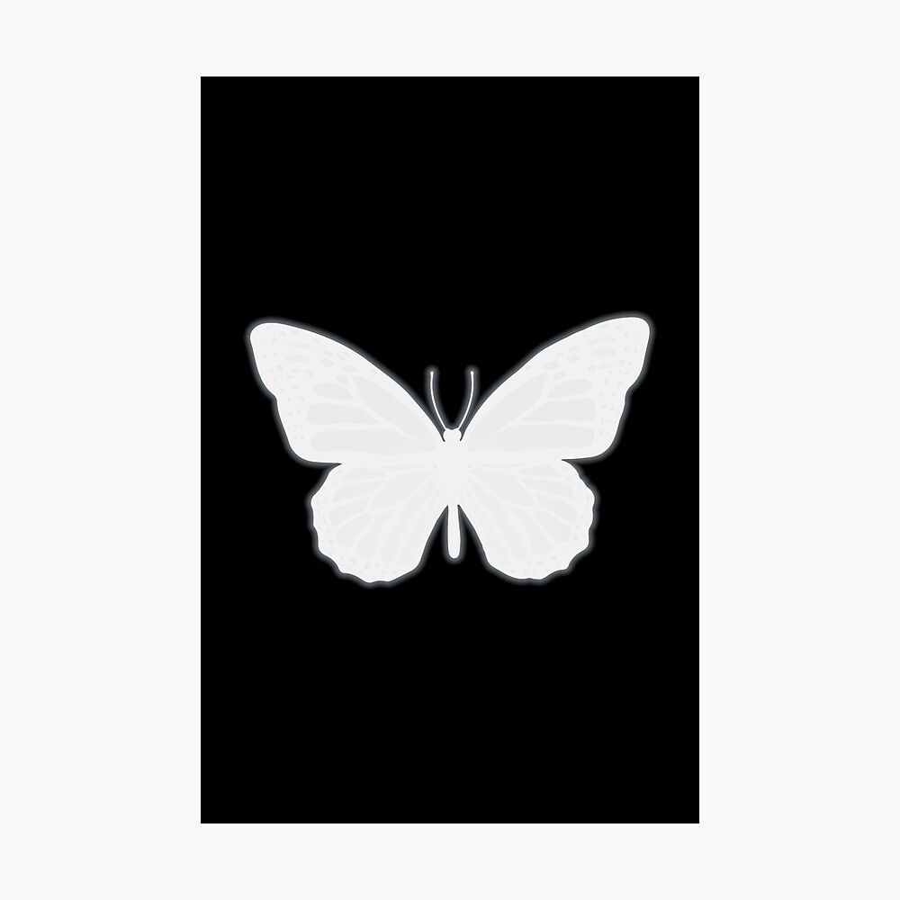 White Butterfly Design with Black Background
