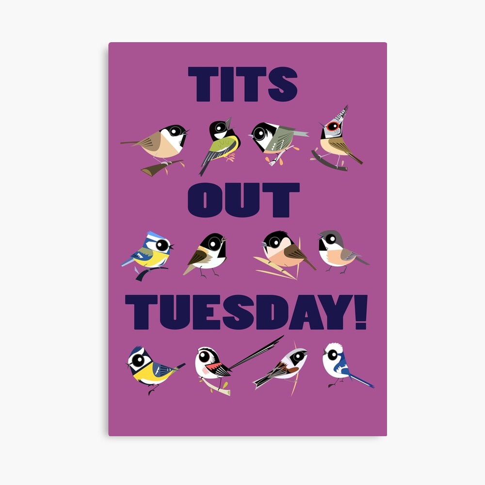 Tits Out Tuesday Photographic Print for Sale by rohanchak | Redbubble