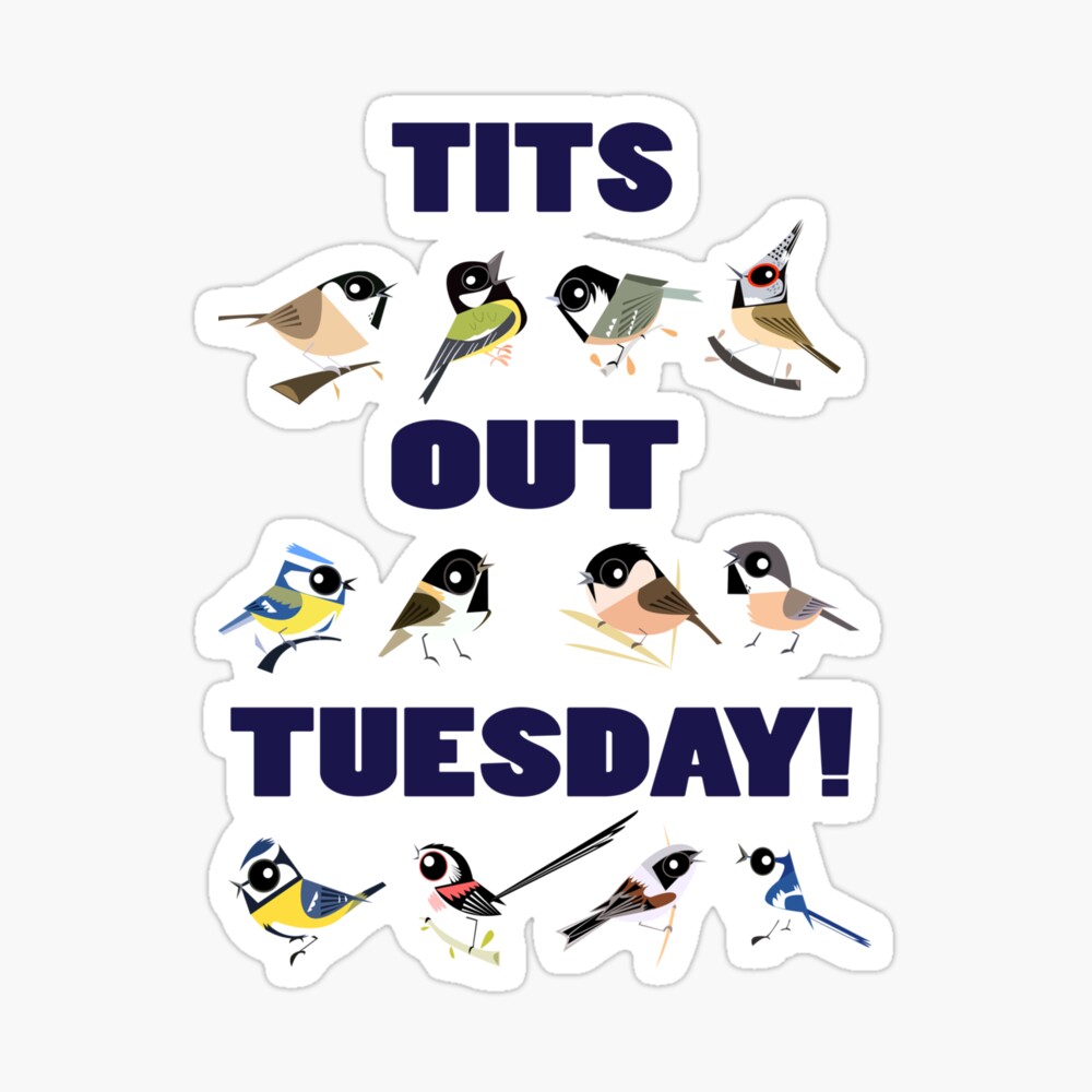 Tits out tuesday