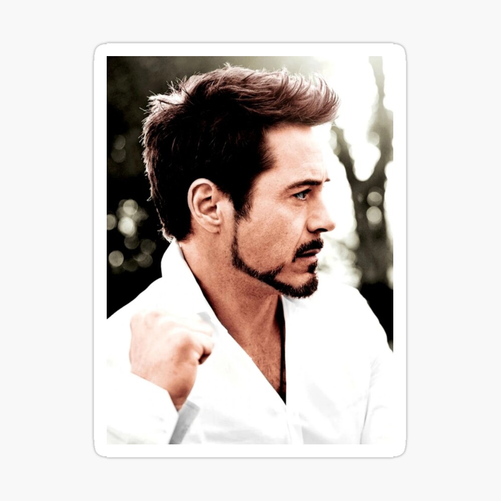 Robert Downey Jr Art Robert Downey Jr Art