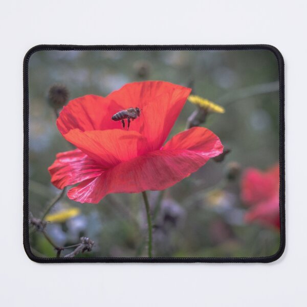 Item preview, Bee in the poppy designed and sold by AlbertMi.