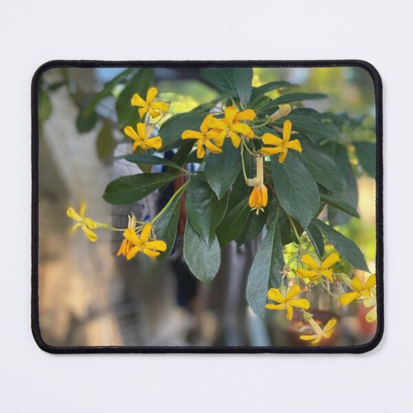 Item preview, Lilli Pilli designed and sold by Melinda Ison - Poor.