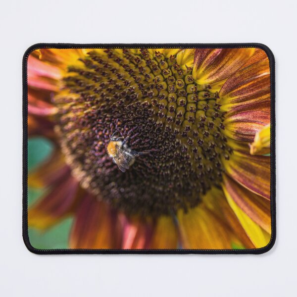 Item preview, Bumblebee on sunflower designed and sold by AlbertMi.