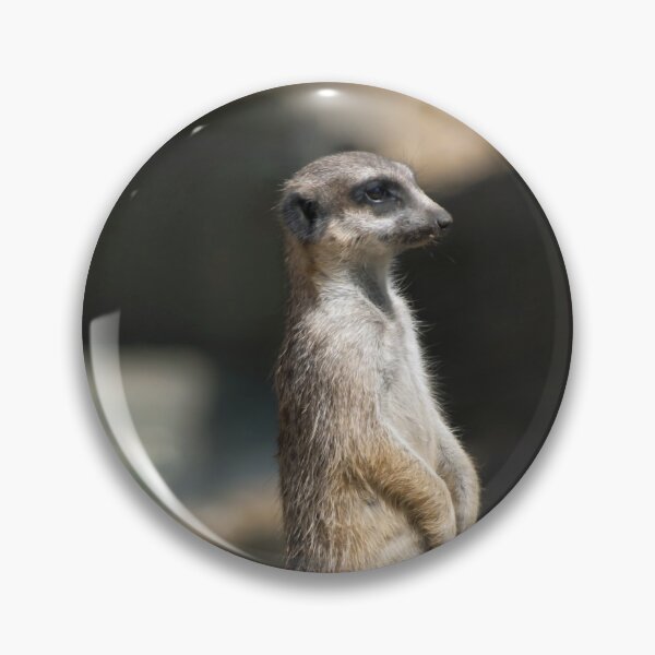 Item preview, Meerkat designed and sold by Vac1.