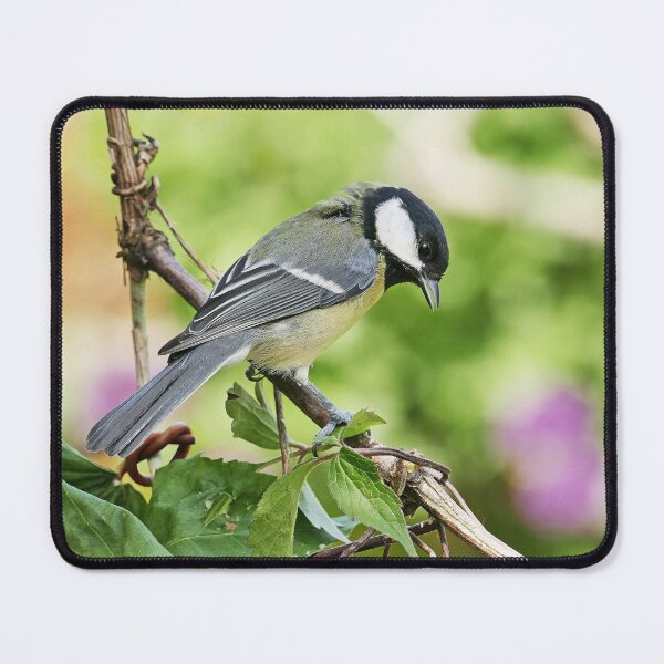 Item preview, r3322/ New finition 2021:  " Les Oiseaux de mon Jardin "   Okaio Créations Olavia-Olao designed and sold by o.okaïo.