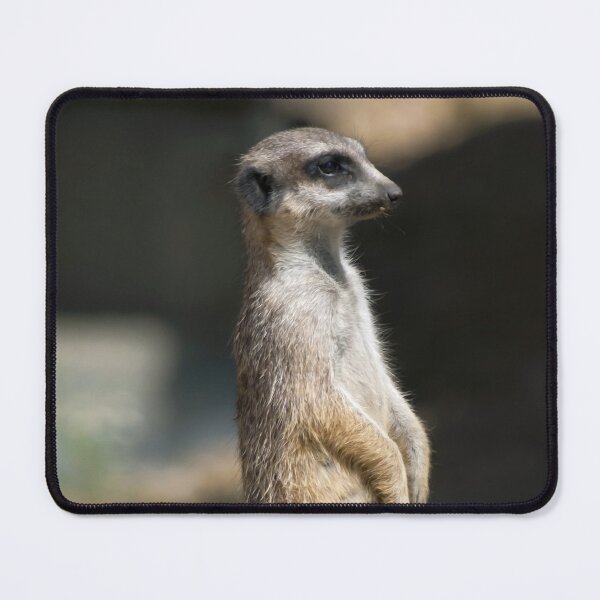 Item preview, Meerkat designed and sold by Vac1.