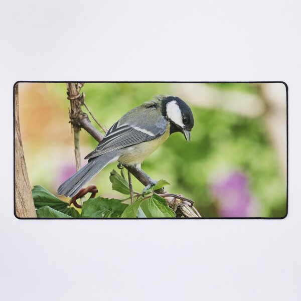 Item preview, r3322/ New finition 2021: " Les Oiseaux de mon Jardin " Okaio Créations Olavia-Olao designed and sold by o.okaïo.