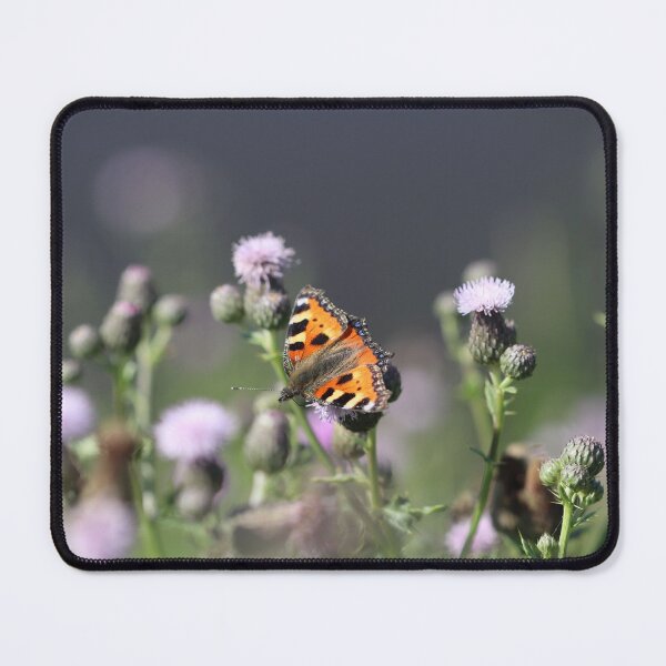 Item preview, Small Tortoiseshell designed and sold by cuprum.