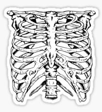 Punk Ribs Sticker