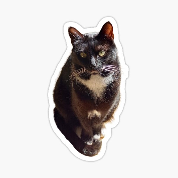 Proud Tuxedo Sticker