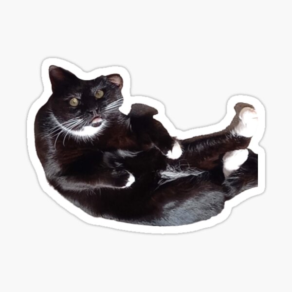 Upside Down Cat Sticker