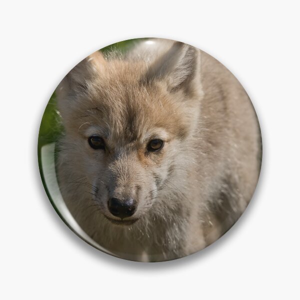 Item preview, Arctic Wolf Pup designed and sold by WolvesOnly.