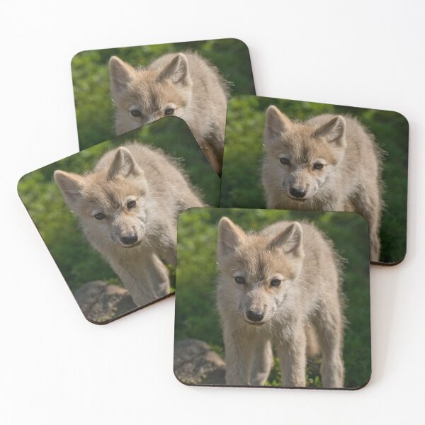 Item preview, Arctic Wolf Pup designed and sold by WolvesOnly.