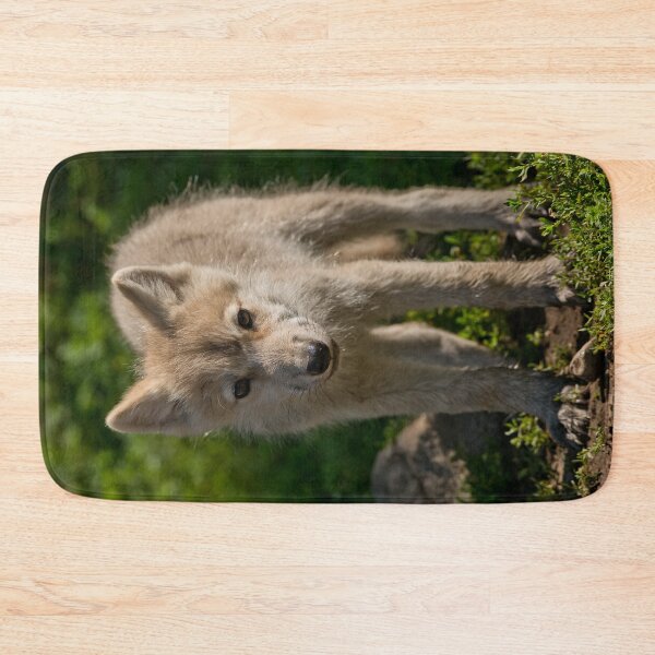 Artikelvorschau, Arctic Wolf Pup entworfen und verkauft von WolvesOnly.