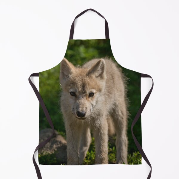 Artikelvorschau, Arctic Wolf Pup entworfen und verkauft von WolvesOnly.