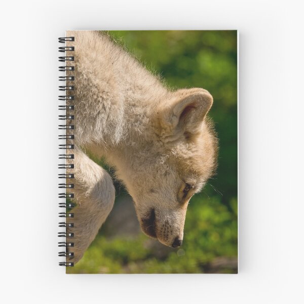 Item preview, Arctic Wolf Pup designed and sold by WolvesOnly.