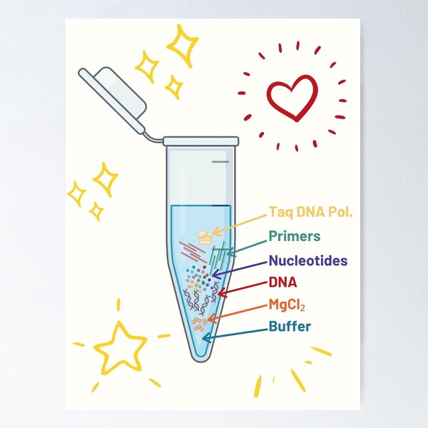 Item preview, The Perfect PCR Polymerase Chain Reaction Process Steps Chemicals Biology Science Pipette Tubes designed and sold by labstud.