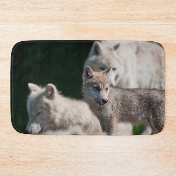Artikelvorschau, Arctic Wolf entworfen und verkauft von WolvesOnly.