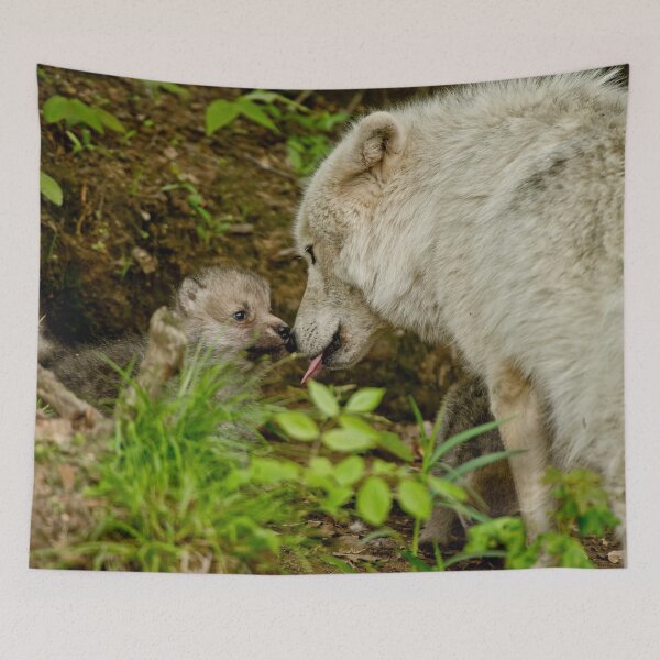 Item preview, Arctic Wolf Pup designed and sold by WolvesOnly.