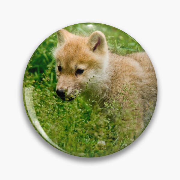 Artikelvorschau, Arctic Wolf Pup entworfen und verkauft von WolvesOnly.