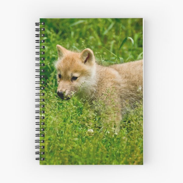 Artikelvorschau, Arctic Wolf Pup entworfen und verkauft von WolvesOnly.