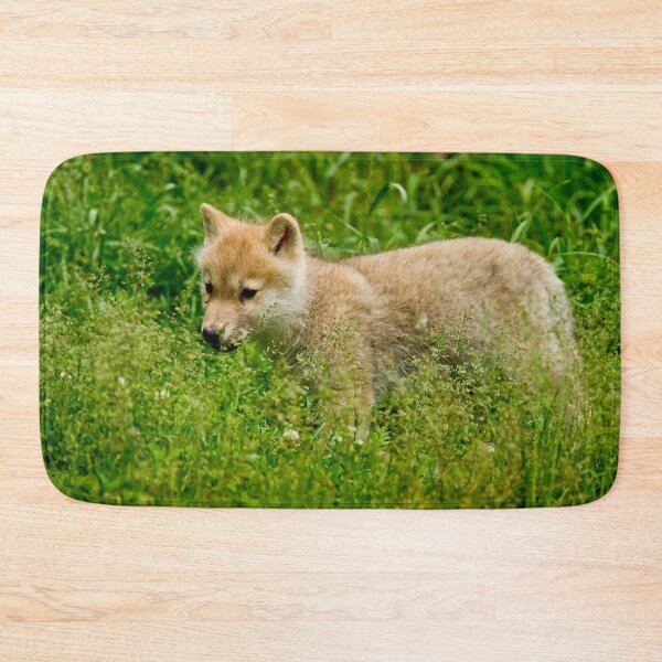 Artikelvorschau, Arctic Wolf Pup entworfen und verkauft von WolvesOnly.