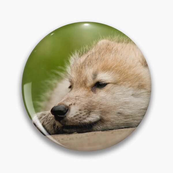 Item preview, Arctic Wolf Pup designed and sold by WolvesOnly.