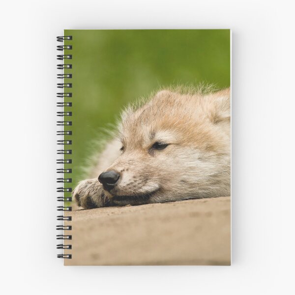 Item preview, Arctic Wolf Pup designed and sold by WolvesOnly.