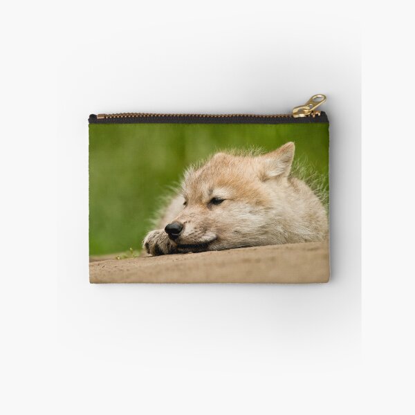 Aperçu de l'œuvre Arctic Wolf Pup créée et vendue par WolvesOnly.