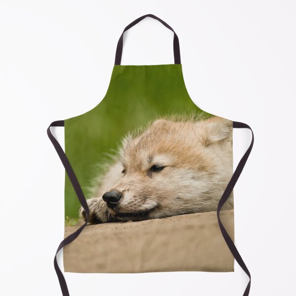 Item preview, Arctic Wolf Pup designed and sold by WolvesOnly.