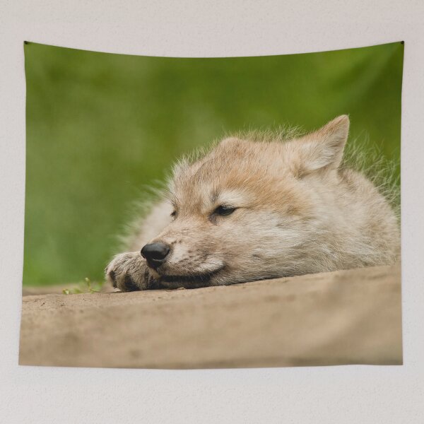 Item preview, Arctic Wolf Pup designed and sold by WolvesOnly.