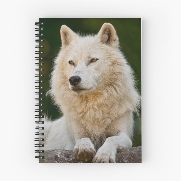 Item preview, Arctic Wolf designed and sold by WolvesOnly.