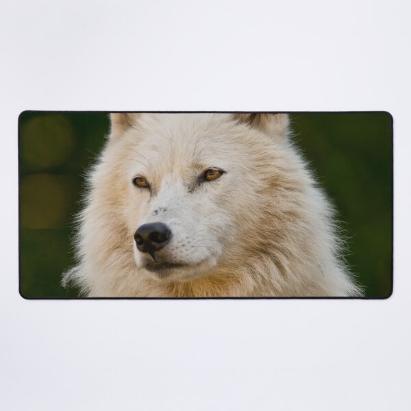 Item preview, Arctic Wolf designed and sold by WolvesOnly.
