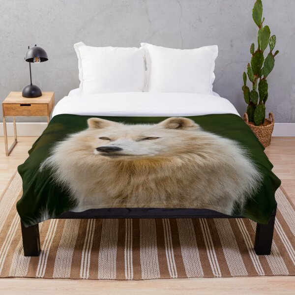 Aperçu de l'œuvre Loup arctique créée et vendue par WolvesOnly.