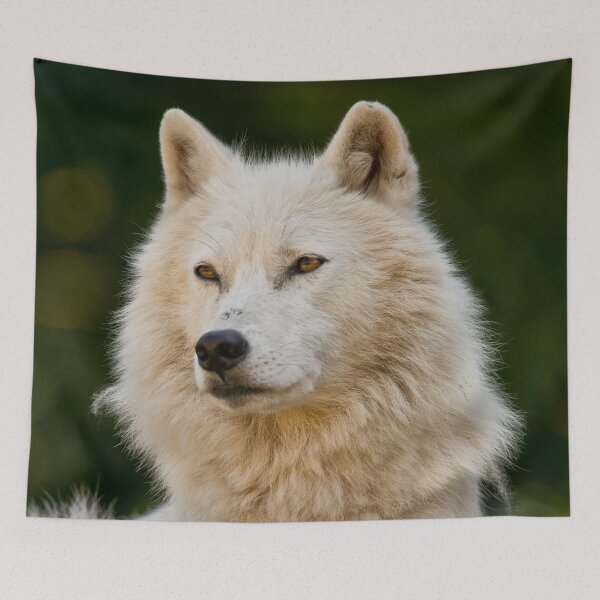 Item preview, Arctic Wolf designed and sold by WolvesOnly.