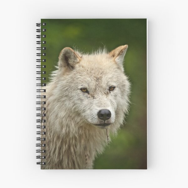 Artikelvorschau, Arctic Wolf entworfen und verkauft von WolvesOnly.