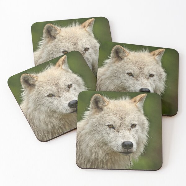 Artikelvorschau, Arctic Wolf entworfen und verkauft von WolvesOnly.