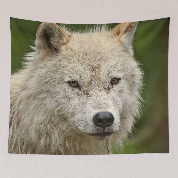 Item preview, Arctic Wolf designed and sold by WolvesOnly.