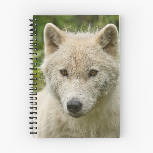 Item preview, Arctic Wolf designed and sold by WolvesOnly.